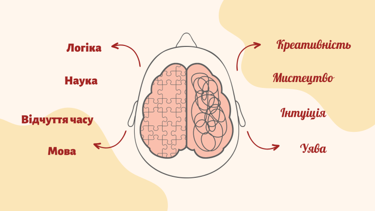 Ліва півкуля проти правої: домінування півкуль