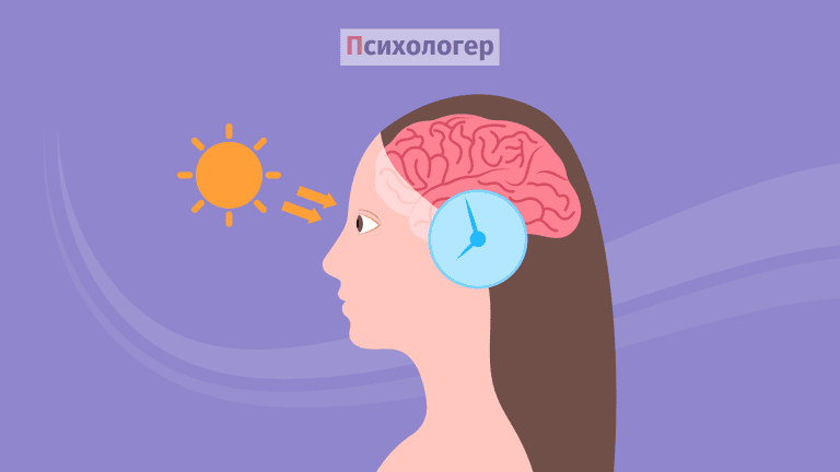 Серотонін: функція, де міститься, як підвищити