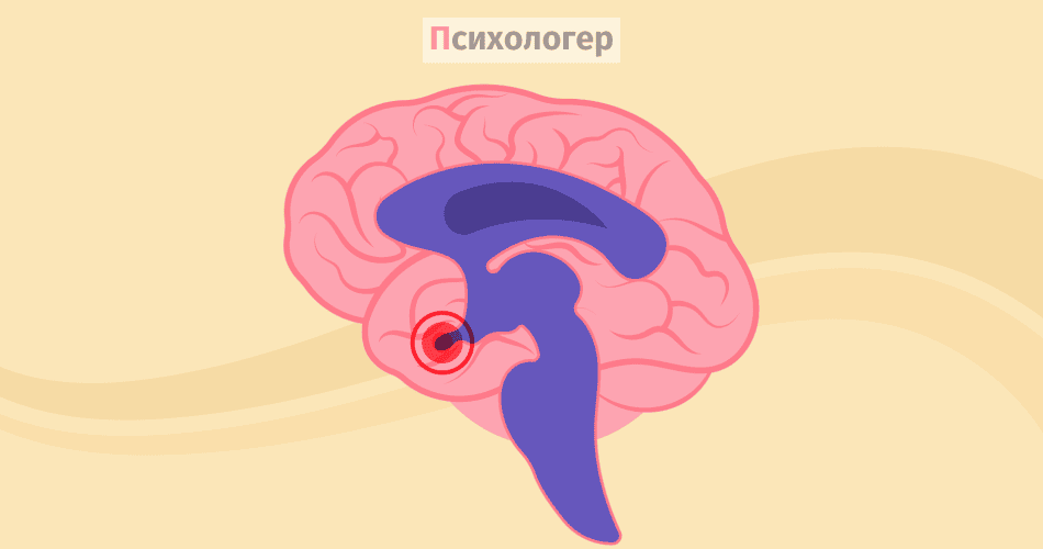 Кортизол