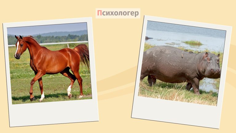 Чому одне нам гарне, а інше – ні?