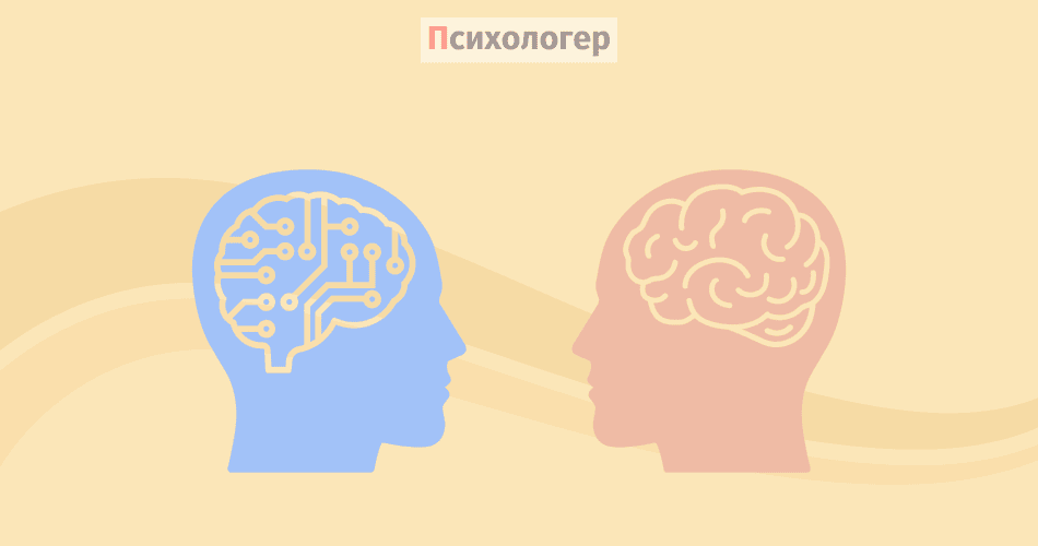 Чоловічий і жіночий мозок можна відрізнити з вражаючою точністю