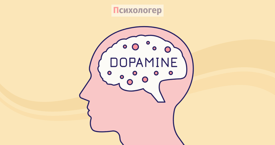 Дофамін як ключовий фактор у стресовій реакції серця