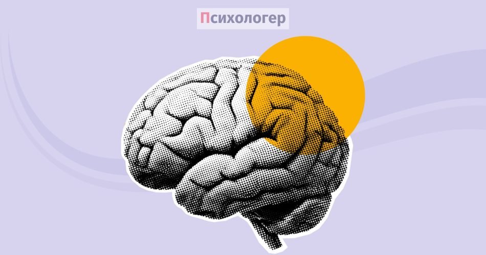 Певні відмінності в головному мозку повʼязані з депресією та нейротизмом — нове дослідження